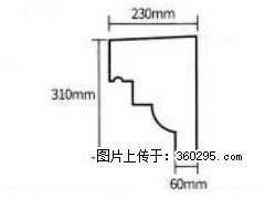 产品分解图型 - 檐口线，型号：SX311-YK-3，规格：230x310mm(3) - 丽水三象EPS建材 lishui.sx311.cc